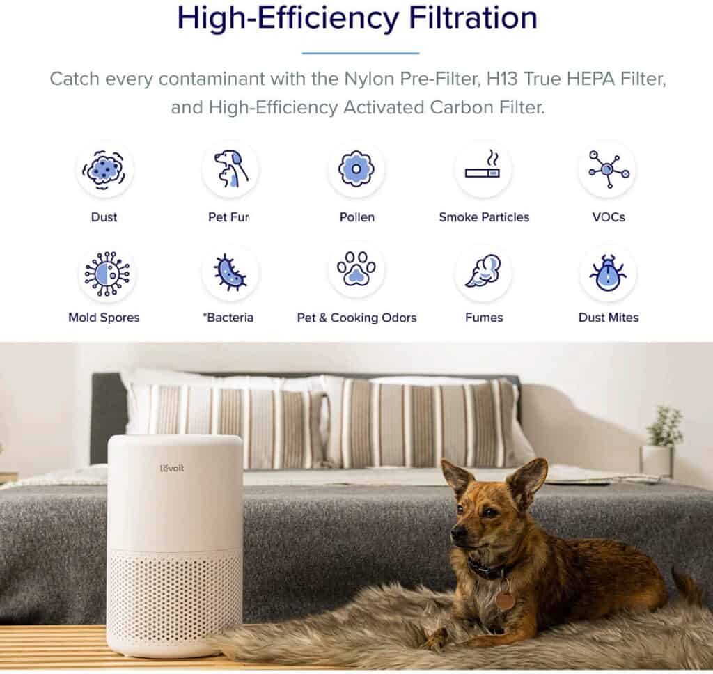 LEVOIT Air Purifier - high-efficiency filtration