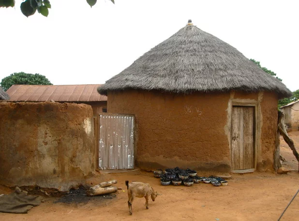 The Traditional Mud-plated Houses in the African Savannah