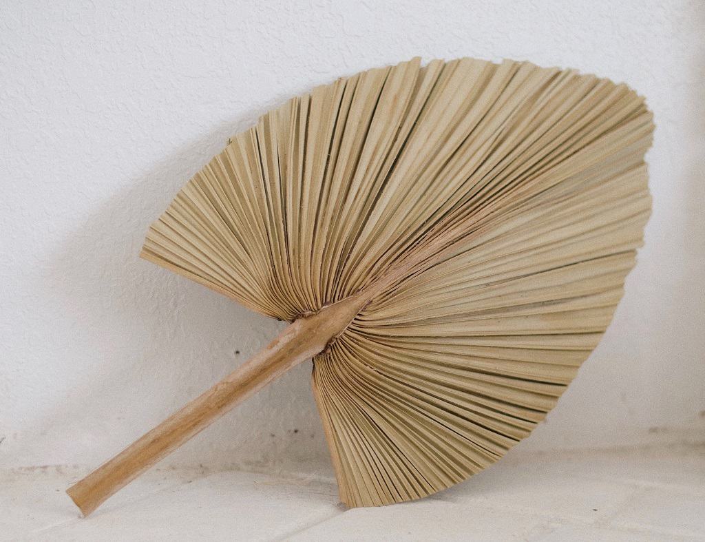 ancient fan made of palm leaf in egypt