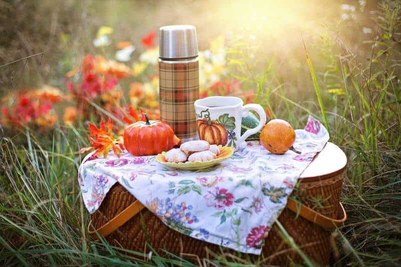 How to stay cool on a picnic