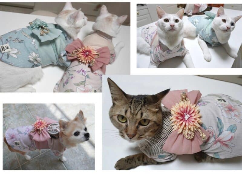 Your Pet Can Keep Cool with a Wearable Fan (AirConditioned Clothing)